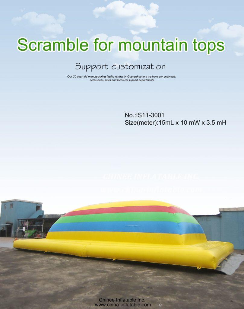IS11-3001 - Chinee Inflatable Inc.