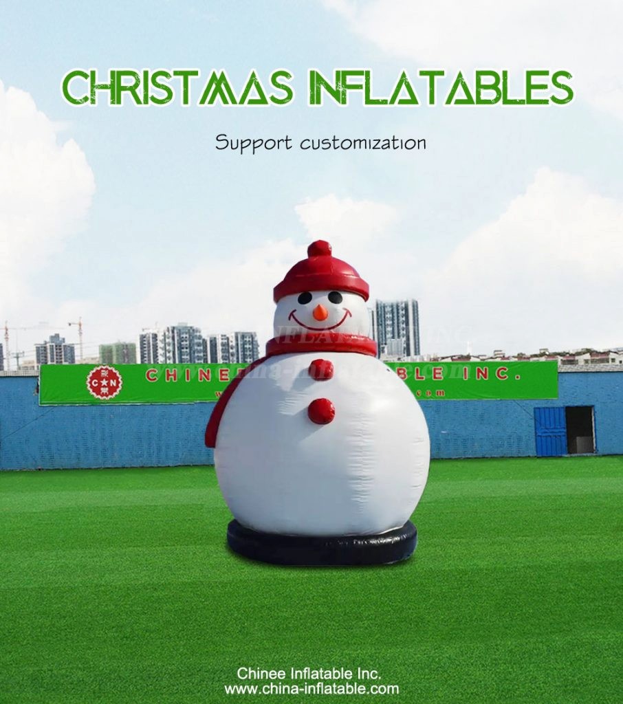 C1-246-1 - Chinee Inflatable Inc.