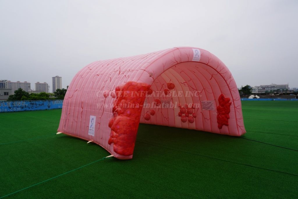 Tent1-441C visceral shape inflatable tent