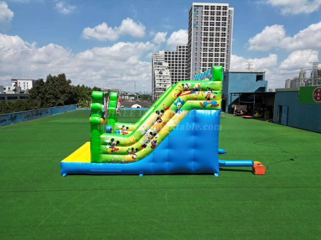 T8-6002 Disney Themed Inflatable Slide