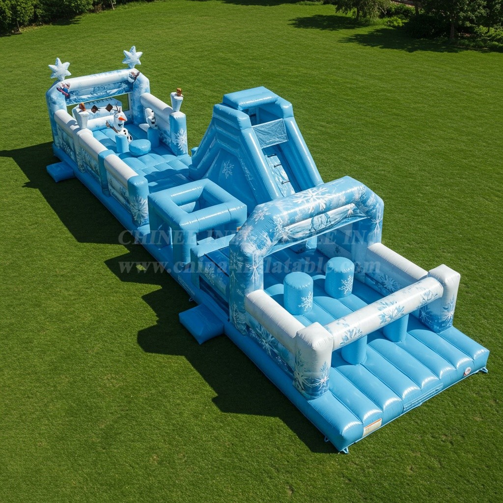 T7-3528 Frozen Obstacle Courses