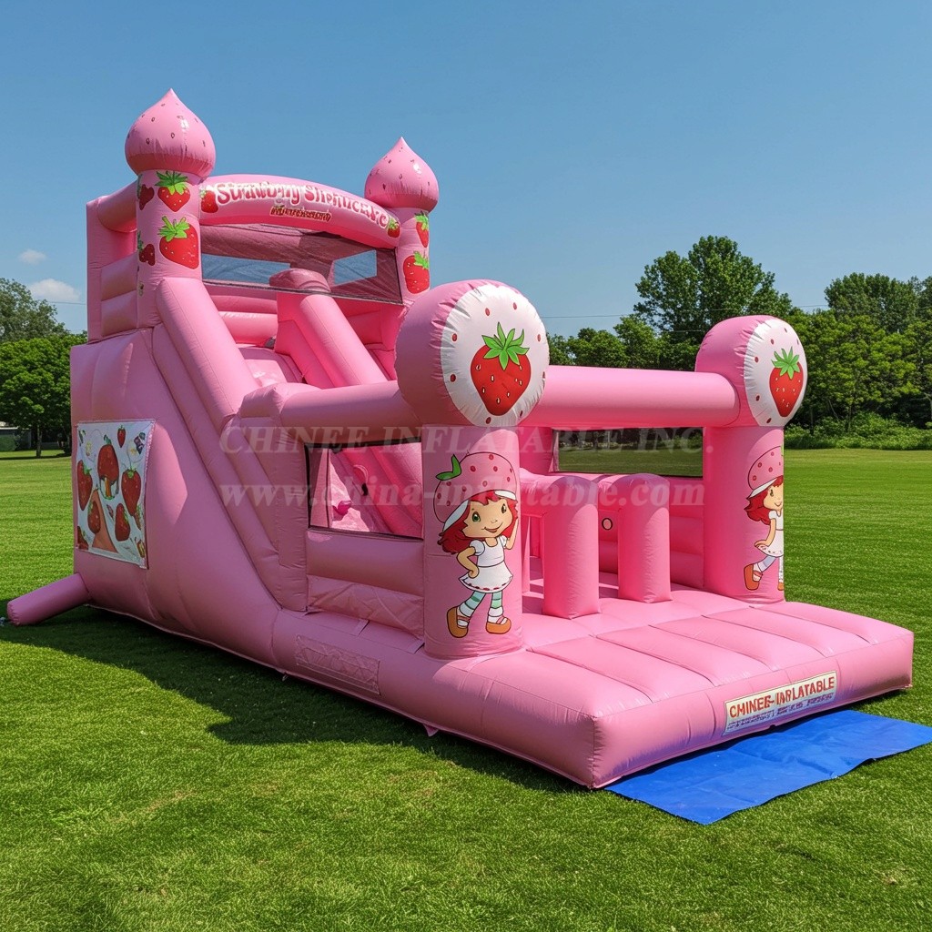 T8-8089 Strawberry Shortcake Inflatable Dry Slide