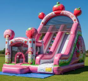 T8-8319 Strawberry Shortcake Theme Inflatable Dry Slide
