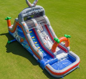 T8-7306 Looney Tunes Theme Inflatable Water Slide