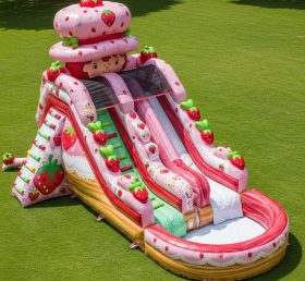 T8-7495 Strawberry Shortcake Theme Inflatable Water Slide