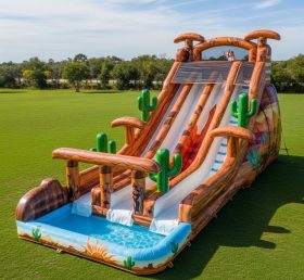 T8-7654 Desert Theme Giant Slide