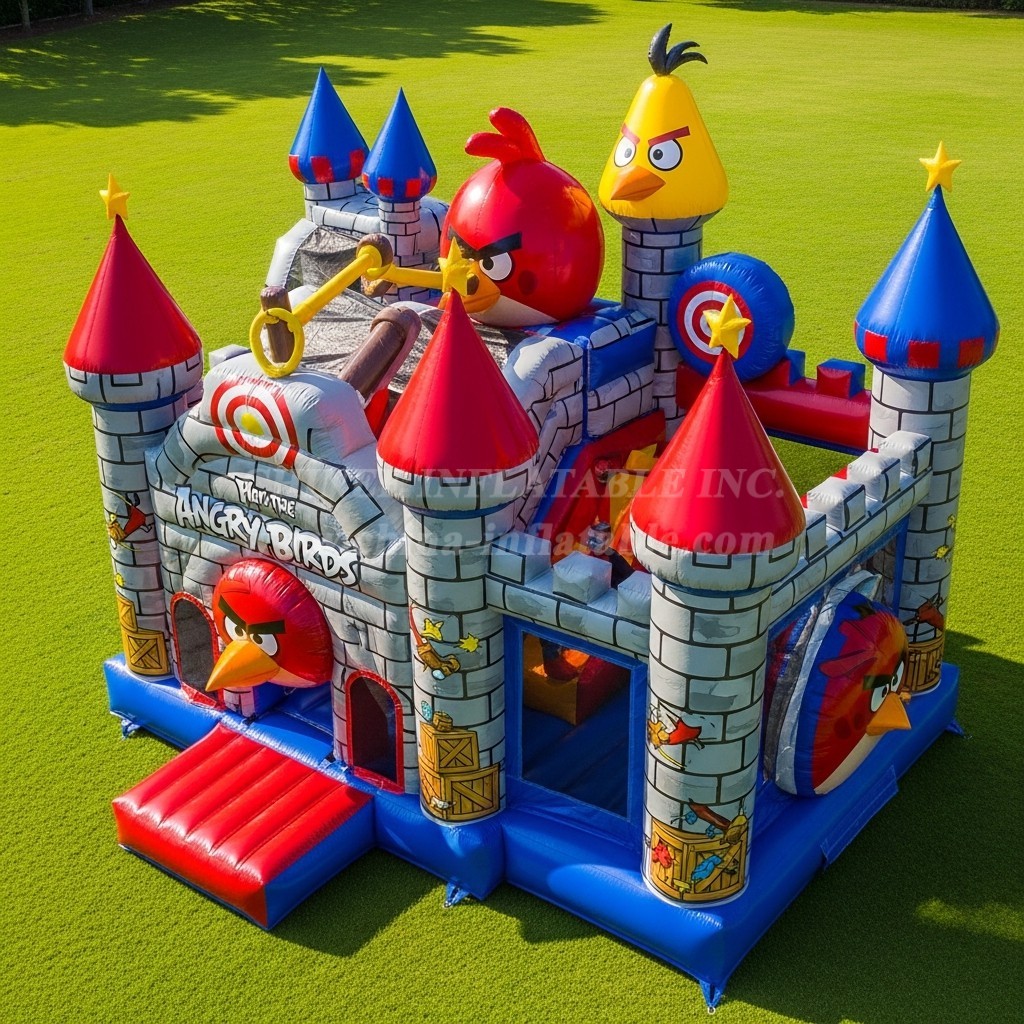 T5-2004 Angry Birds Theme Inflatable Castles