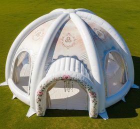 Tent1-4994 Weddings Theme Inflatable Dome