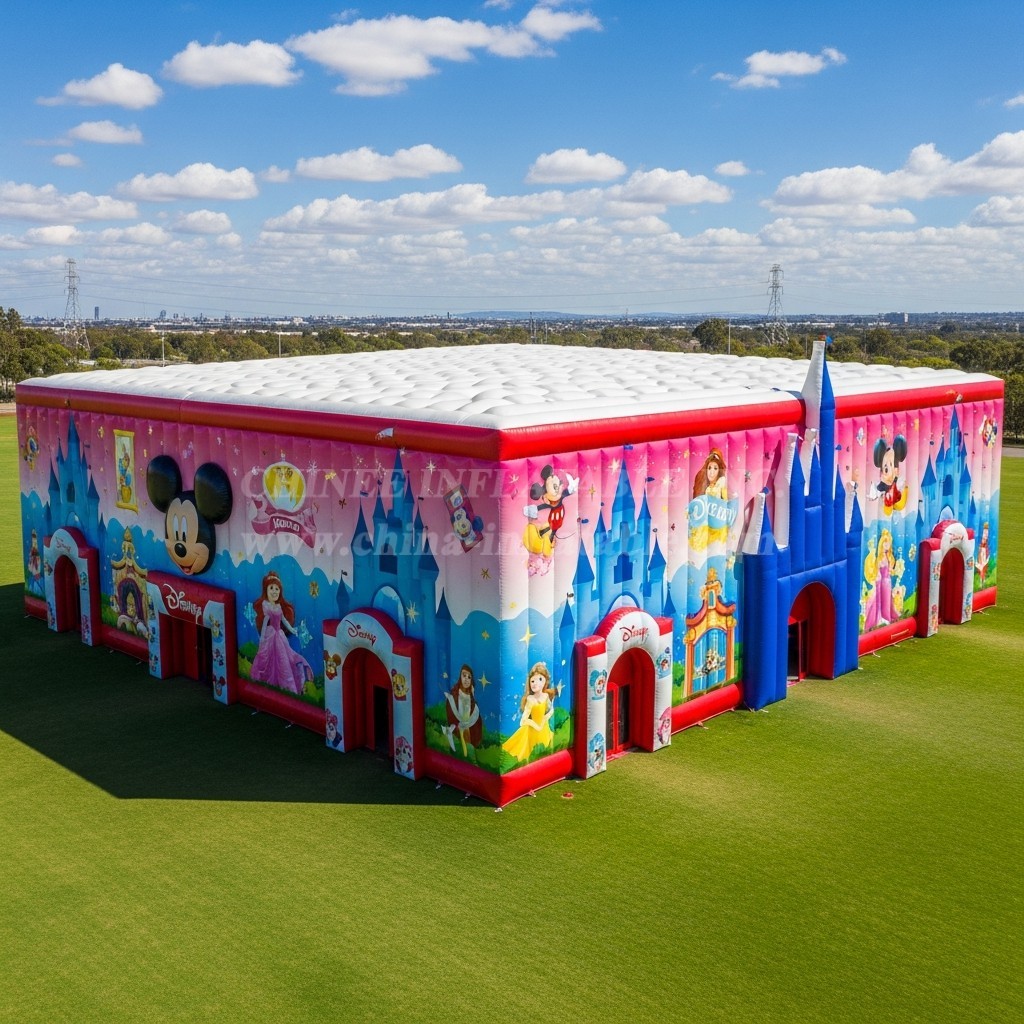 Tent1-6399 Disney Themed Inflatable Castle