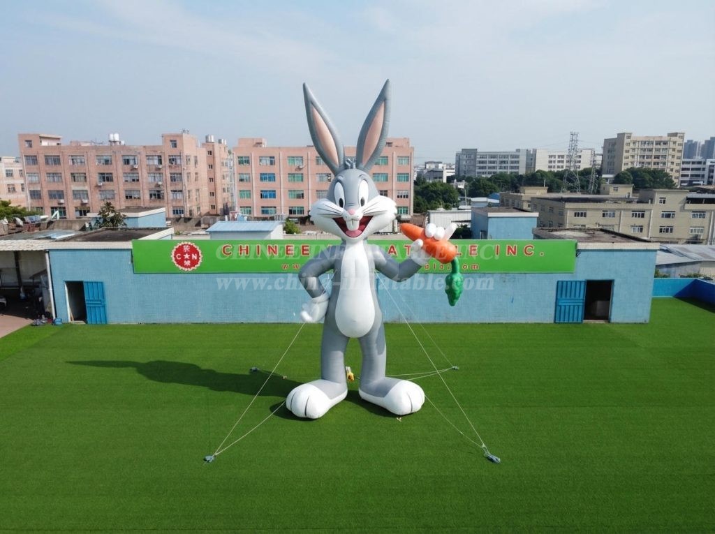 Cartoon3-802 Looney Tunes Theme Inflatable Cartoon