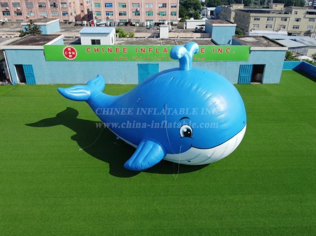 Cartoon3-823 Ocean Theme Theme Inflatable Cartoon