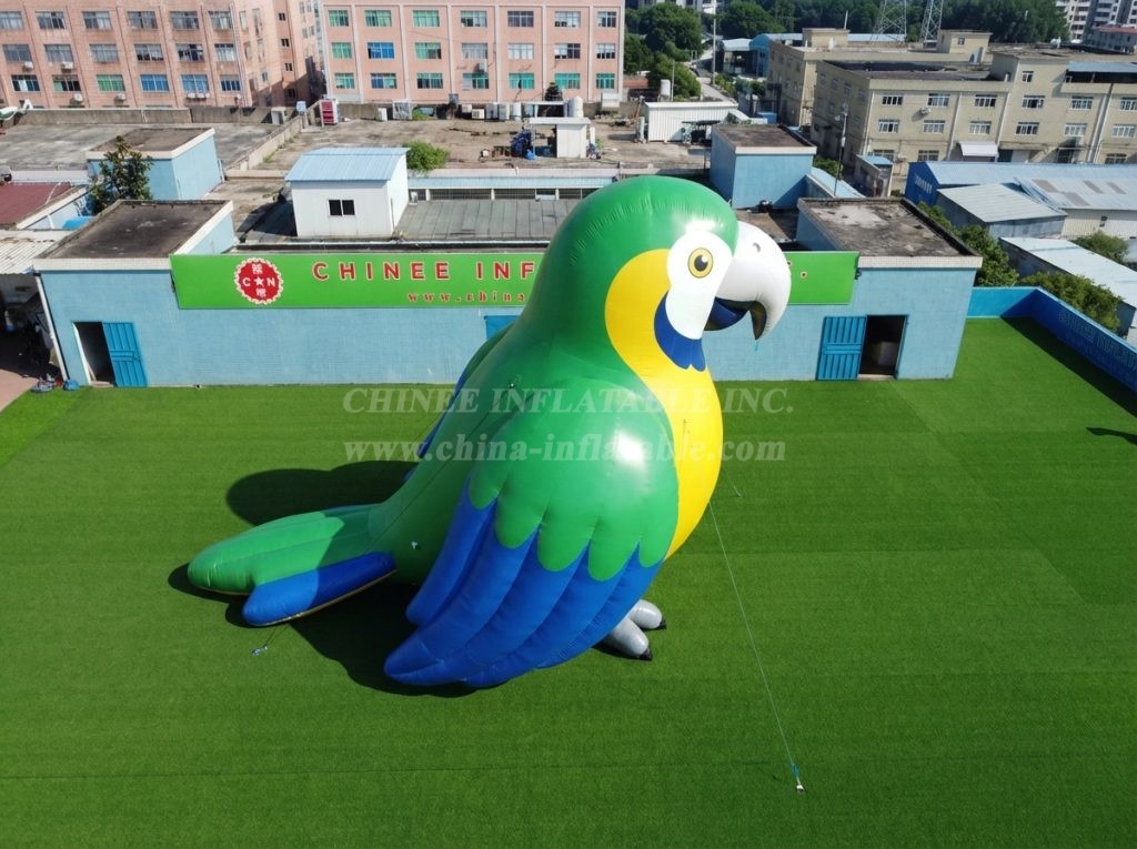 Cartoon3-904 Brazil Theme Inflatable Cartoon