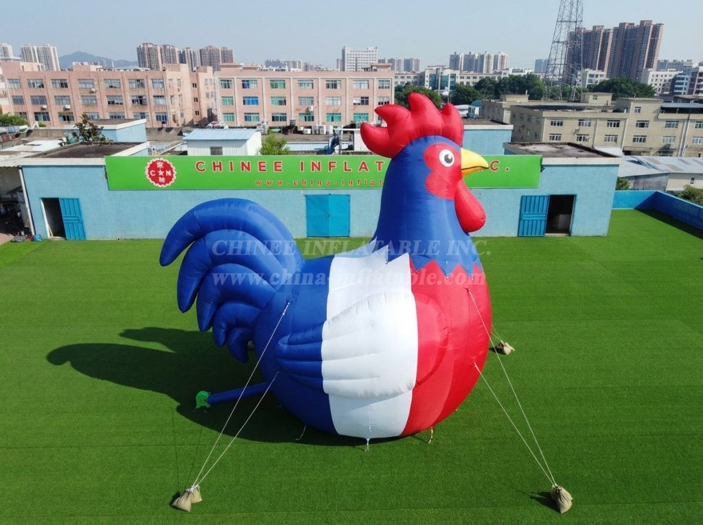 Cartoon3-916 France Theme Inflatable Cartoon