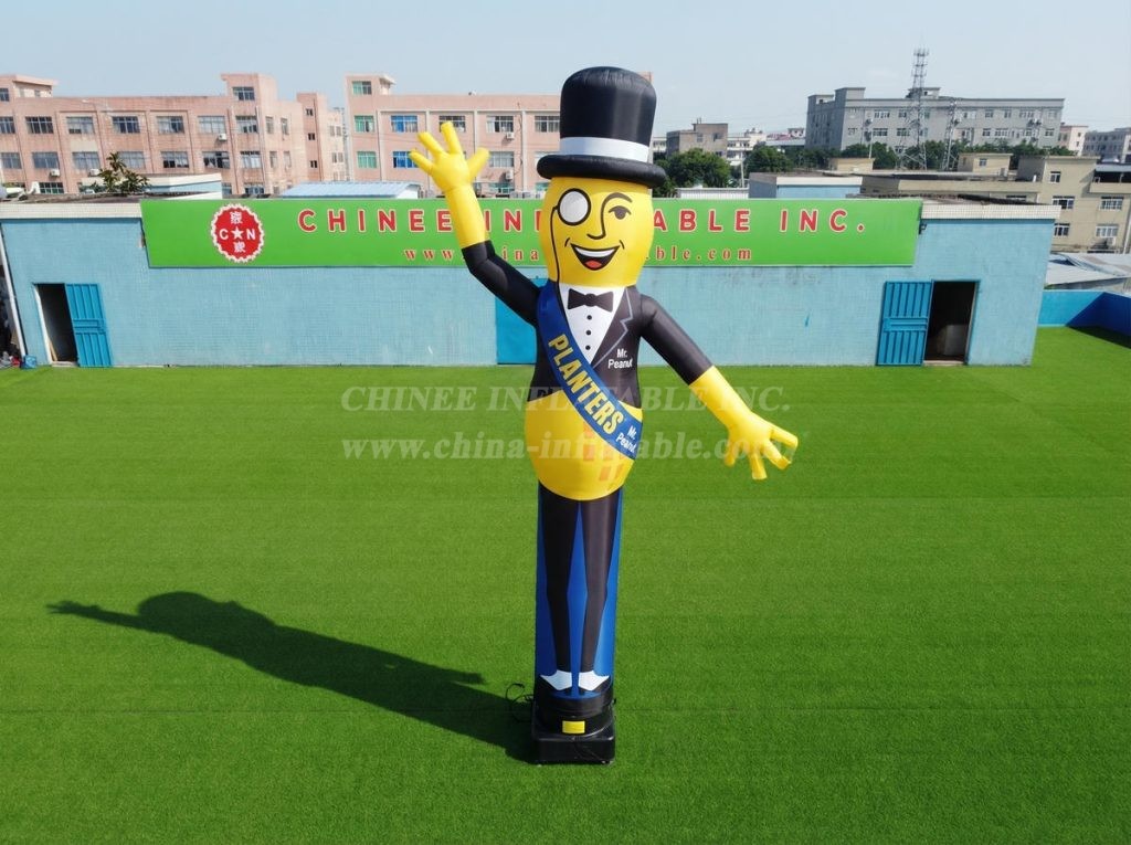 D3-75 Planters Air Dancer