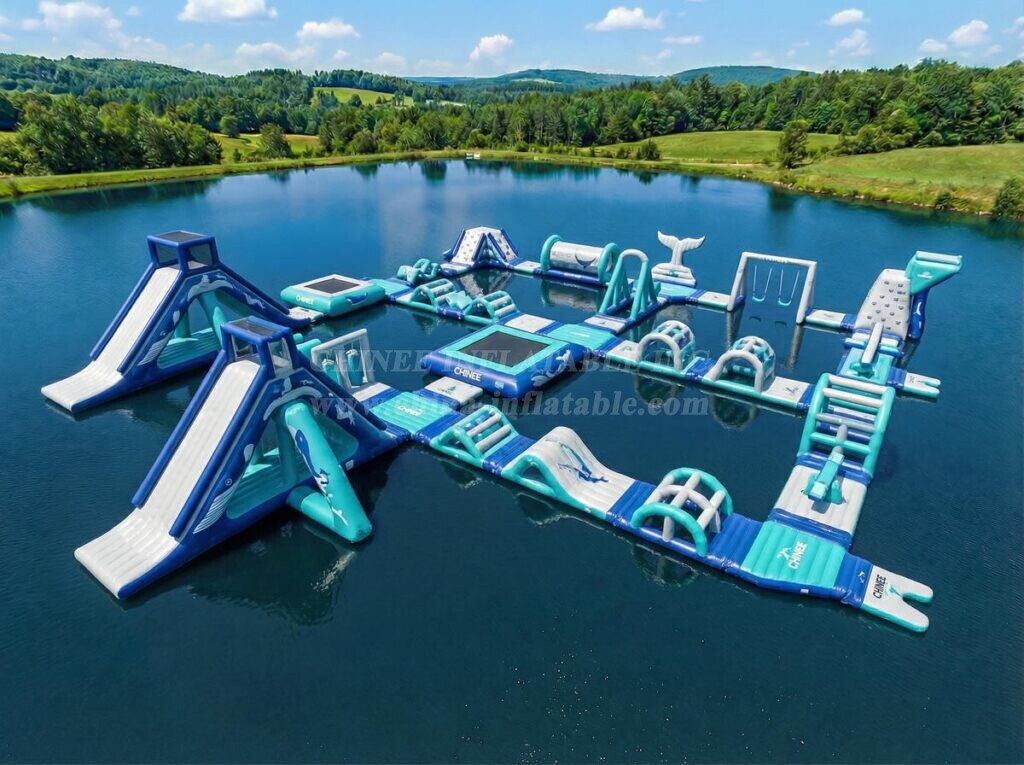 S751 Whale Theme Inflatable Water Park