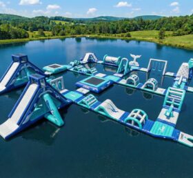 S751 Whale Theme Inflatable Water Park