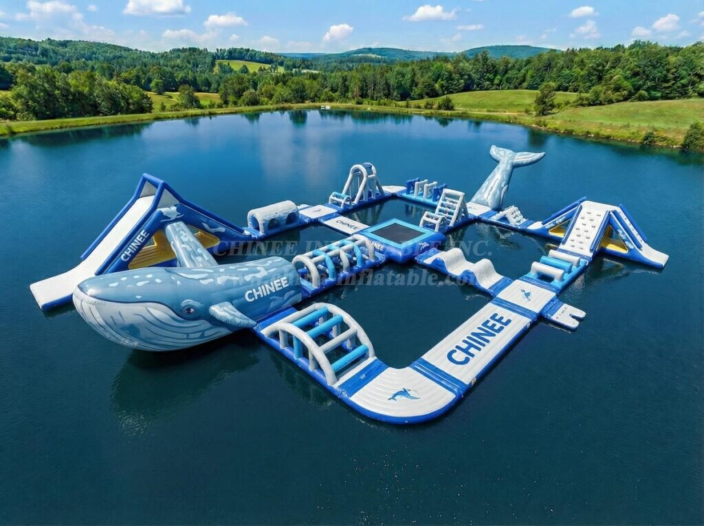 S752 Whale Theme Inflatable Water Park