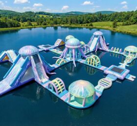 S856 Jellyfish Theme Inflatable Water Park