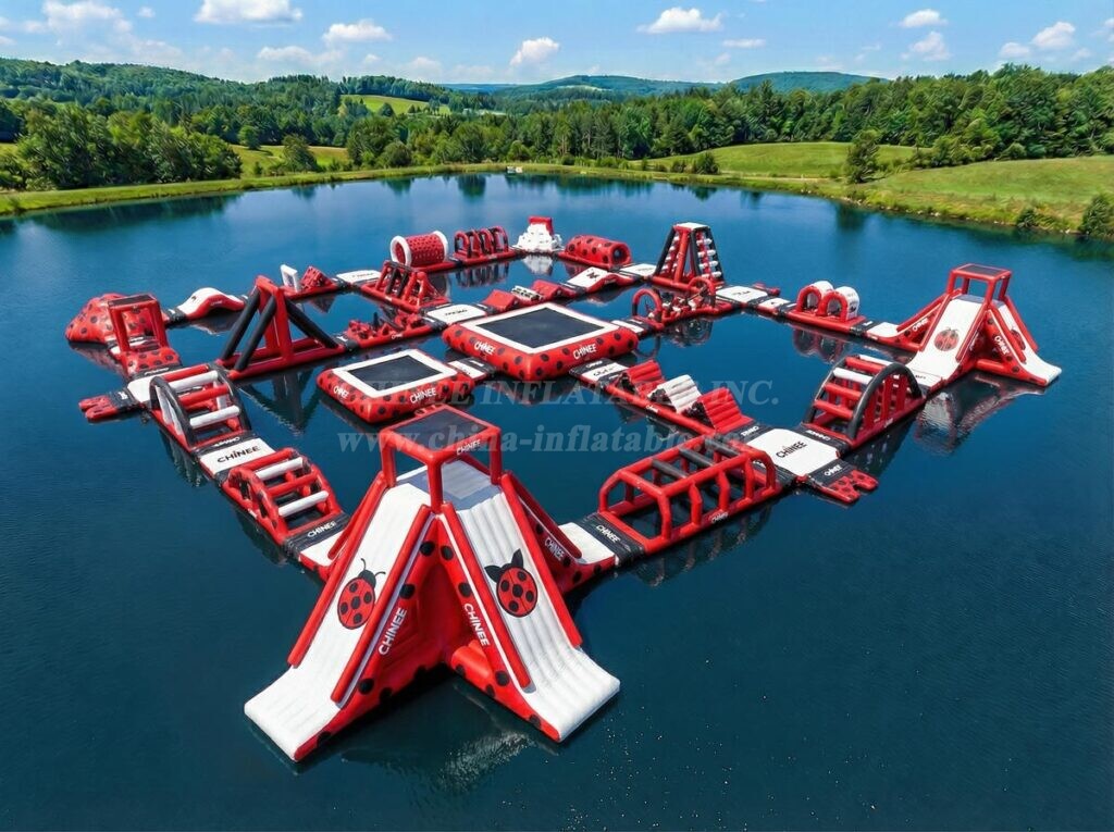 S910 Miraculous Ladybug Theme Inflatable Water Park